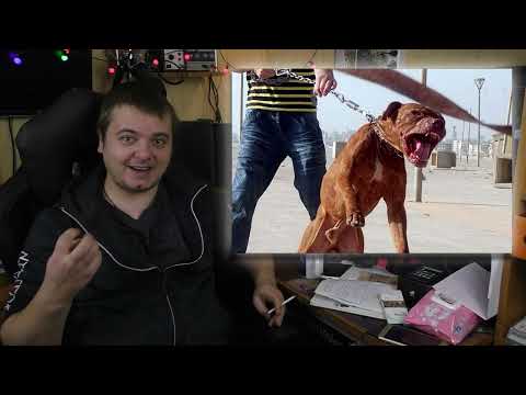 Видео: Трешовые байки компьютерного мастера / Часть 2