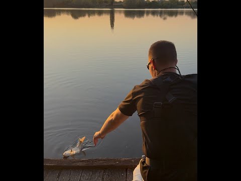 Видео: Басів Кут, Рибалка Рівне, незабутнє клювання ляща, судака. 21.05.2025р