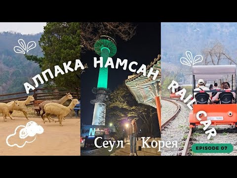 Видео: Южна Корея: Aлпаки и остров Нами| Korea The Alpaca Escape, Rail Cars & Nami Island Adventure