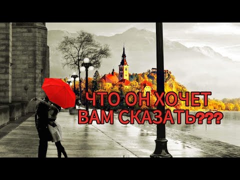 Видео: ЧТО ОН ХОЧЕТ ВАМ СКАЗАТЬ???