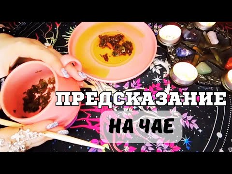 Видео: Чайные 🌱листья скажут 💯все