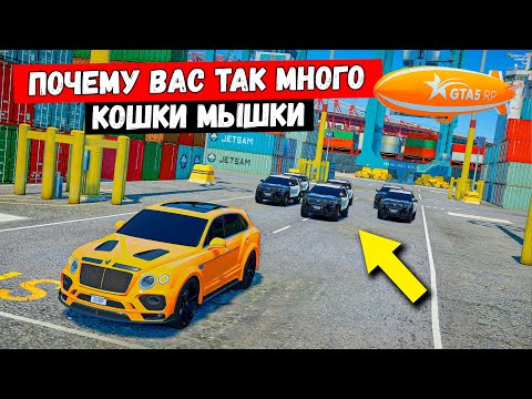 Видео: ВАС ТАК МНОГО И ГДЕ МНЕ ПРЯТАТСЯ, КОШКИ МЫШКИ В GTA 5 RP MURRIETA !