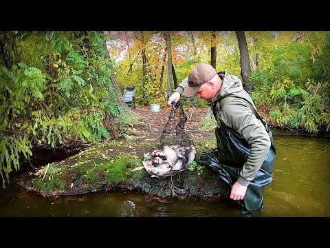 Видео: Замахався махати вудочками! Йде чисто крупняк!