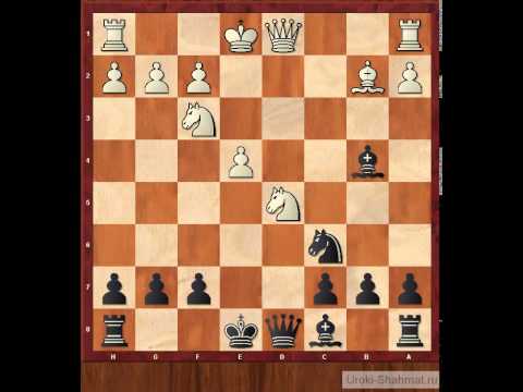 Видео: Ловушки в дебюте. Северный гамбит, часть 2
