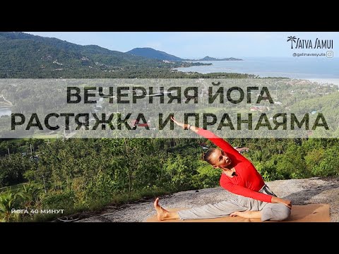 Видео: ВЕЧЕРНЯЯ ЙОГА. РАСТЯЖКА И ПРАНАЯМА. 40 МИНУТ ДЛЯ РАССЛАБЛЕНИЯ И КРЕПКОГО СНА