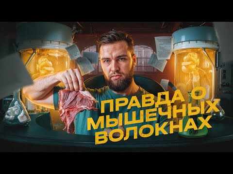Видео: ПРАВДА О ТИПАХ МЫШЕЧНЫХ ВОЛОКОН | Таблица, Которую Построил Себе EVOLUTION YETI