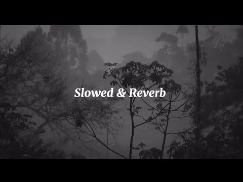 Видео: KLAVDIA PETRIVNA, OSTY - ЖОВТІ КВІТИ ( Slowed & Reverb version )
