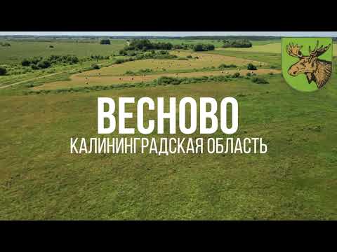 Видео: 4K. Весново. Славский район. Калининградская область