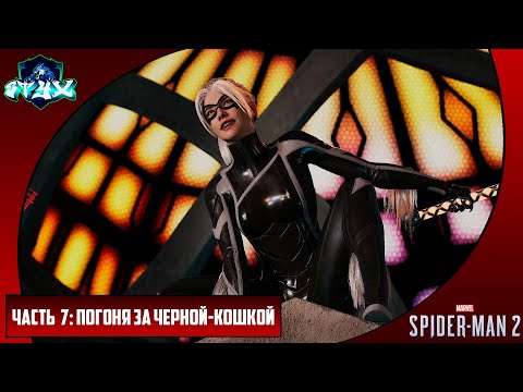 Видео: MARVEL'S SPIDER-MAN 2➤➤➤ЧЕЛОВЕК-ПАУК 2 (2023)➤➤➤РУССКАЯ ОЗВУЧКА➤➤➤ЧАСТЬ 7: ПОГОНЯ ЗА ЧЕРНОЙ-КОШКОЙ