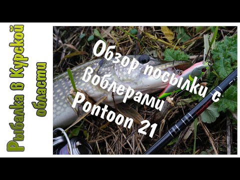 Видео: Обзор посылки с воблерами Pontoon 21 (Kalikana Dun, Bet-A-Minnow/Shad/Shiner)  из Fmagazin ru