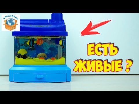 Видео: Аквариум из Fix Price! Калейдоскоп и Пистолет. Товары Распаковка Обзор | СПЕЦЗАКАЗ