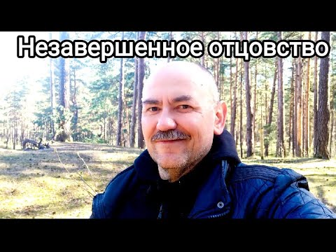 Видео: Незавершенное Отцовство. Отчуждение родителя. Максометр. Мужское движение.