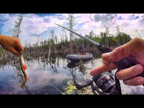 Видео: РЫБАЛКА В ЗАТОПЛЕННОМ ЛЕСУ! ШТОРМ, ПОЖАР, КУХНЯ, ЩУКИ, ОКУНИ и ДРУЗЬЯ! Рыбалка по-братски часть 3