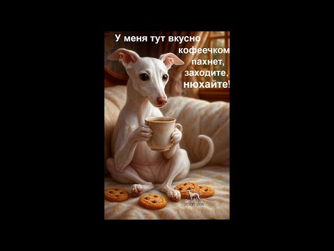 Видео: ￼￼￼￼ЧЕТВЕРГОВЫЙ КОФЕ 30.10.25 в 8:45