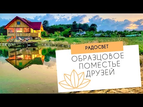 Видео: Самое красивое поместье в поселении | Пруд на участке, карпы кои и лесосад