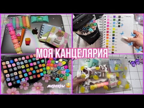 Видео: 🌸Моя канцелярия || Чем я рисую? 🌸 МИР БУМАЖЕК