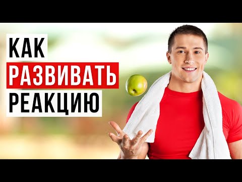 Видео: Упражнения на реакцию. Как увеличить реакцию?