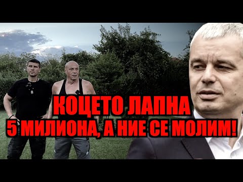 Видео: КОЦЕТО ЛАПНА 5 МИЛИОНА, А НИЕ СЕ МОЛИМ!