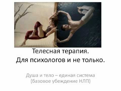 Видео: Тело и характер Перепелица