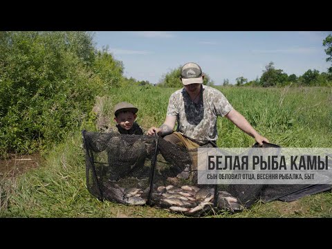 Видео: Белая рыба Камы, лещ, густера