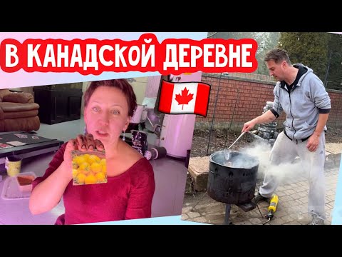 Видео: Рассада помидор 🍅 плов на огне, Жизнь в Канадской деревне