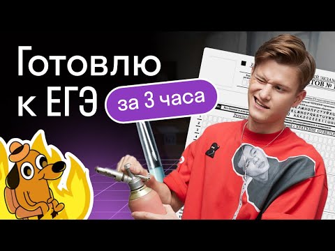 Видео: Готовлю к ЕГЭ с нуля за 3 часа препода по информатике