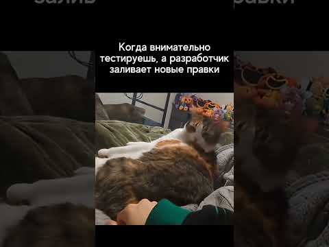 Видео: 😡 Когда внимательно тестируешь, а разработчик заливает новые правки #qa #мем #it