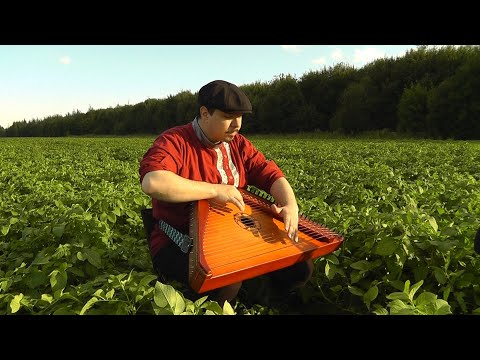 Видео: Виктор Цой Кино Кукушка Группа Крови Перемен на Гуслях / Гусли - Гусляр Андрей Андреев