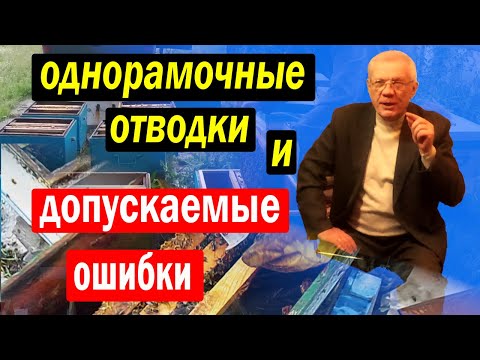 Видео: Как Сделать отводок? Ошибки пчеловодов. Что нужно Знать?