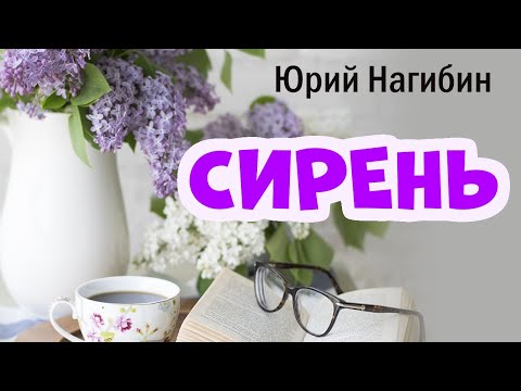 Видео: Сирень / Юрий Нагибин