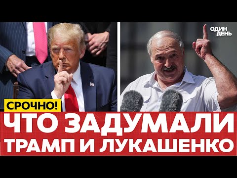 Видео: 🔴 СРОЧНО Лукашенко и Трамп, кажется, что-то затевают #новости #одиндень