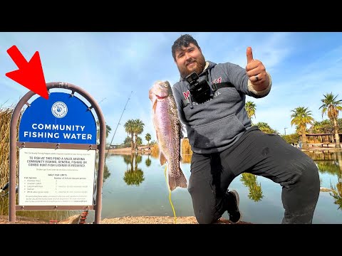 Видео: Полное руководство по ловле зарыбленной форели в городах штата Аризона