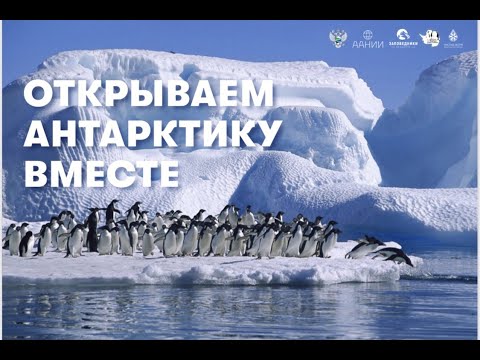 Видео: Открываем Антарктику вместе