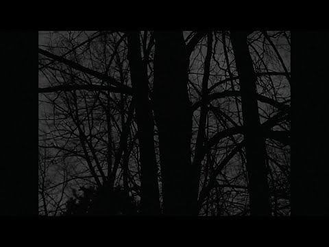 Видео: [NOT FREE] PHARAOH + VELIAL SQUAD + WHITE PUNK Type beat - 'я стану тобой, забыв рассвет'