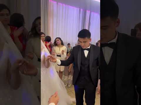 Видео: Туй Барнаул 2023