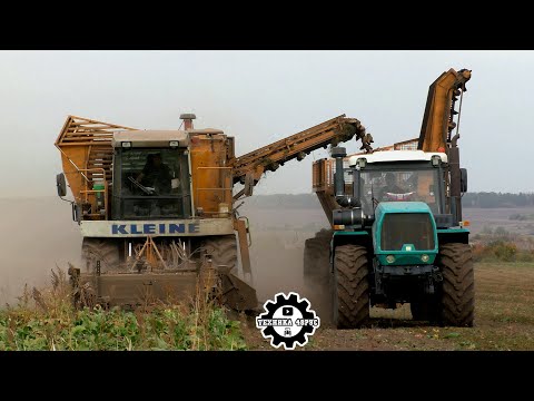 Видео: Свёкла - 2024. Свеклоуборочная техника Franz Kleine и трактор БТЗ-243К. Фермеры Липецкой области
