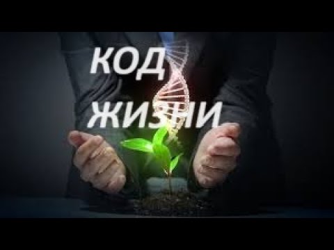 Видео: 🧿✡️Тысячники!!Кармический код жизни!  Что это?  Как рассчитать ?  Чем и Как он влияет на нас! 💯🧿