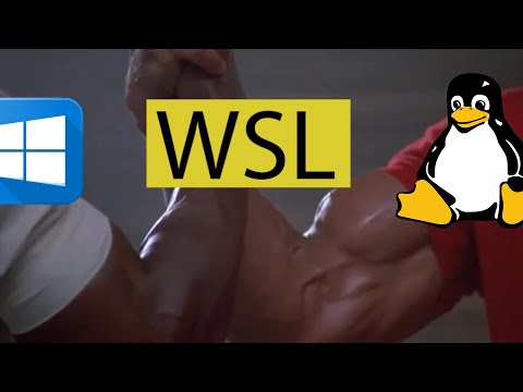 Видео: MAKE на WINDOWS, настройка WSL, VIVADO - Уроки FPGA /#18