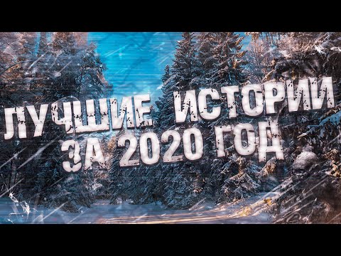 Видео: Страшные истории на ночь-Лучшие истории за год