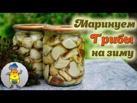 Видео: Как мариновать грибы на зиму в банках. Вкусный маринад - шикарный результат! БЕЗ СТЕРИЛИЗАЦИИ!!!