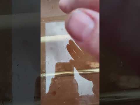 Видео: Самодельная коптильня #холодноекопчение