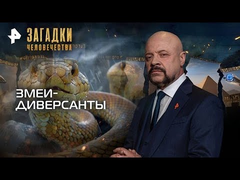 Видео: Змеи диверсанты — Загадки человечества с Олегом Шишкиным