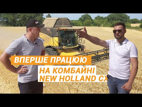 Видео: New Holland CX8.80 на збиранні пшениці на Сумщині | Як комбайн справляється з урожайністю 6 т/га