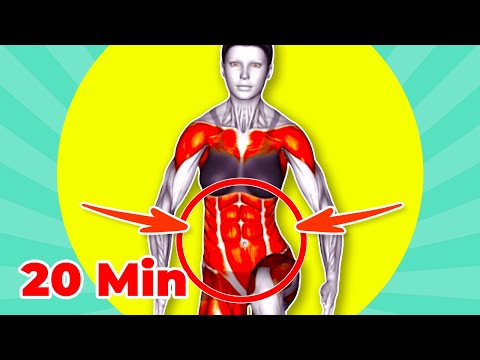 Видео: ➜ Боретесь с жиром на животе? ➜ 20-минутная тренировка стоя для более тонкой талии!
