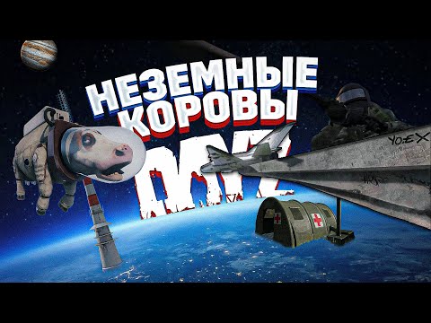 Видео: КОРОВЫ ТО НЕ НАСТОЯЩИЕ 🌎 в DayZ | Dudnuk