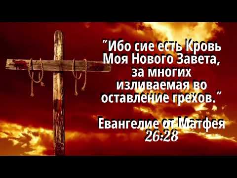 Видео: 23 февраля 2025 г.