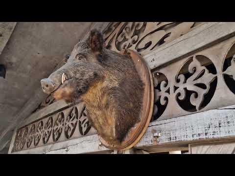 Видео: 294. Жизнь в Германии. Рождественский базар. Германия. Кёльн 13.12.2022
