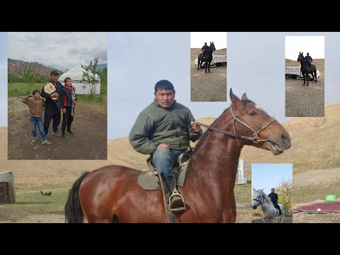 Видео: Мараттын улагы 🇰🇬🔥