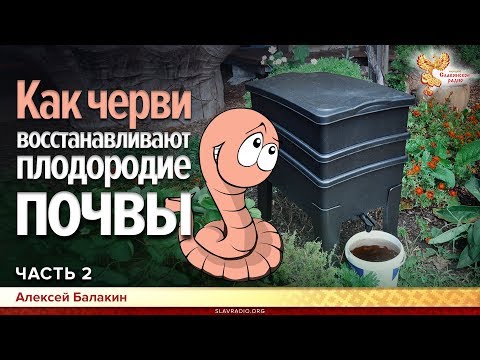 Видео: Как черви восстанавливают плодородие почвы. Алексей Балакин. Часть 2