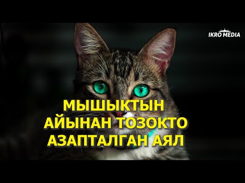 Видео: МЫШЫКТЫН АЙЫНАН АЗАПТАЛГАН АЯЛ